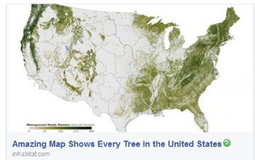 Amazing Map Shows Every Tree in the United States