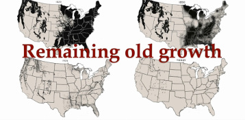 2014 Map of remaing old growth in the US