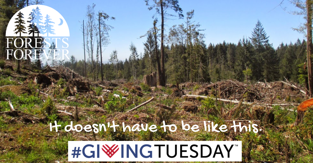 Stop the destruction of our Forests - Please Save the Date, Giving Tuesday Nov. 27, 2018